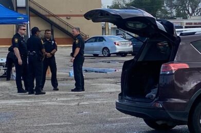 WhatsApp Image 2025-06-08 at 04.01.28_7dcd635e